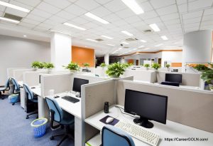Office Work Place 4 চাপ কমানোর দাওয়া | ক্যারিয়ার ম্যানেজমেন্ট | শামস্ বিশ্বাস