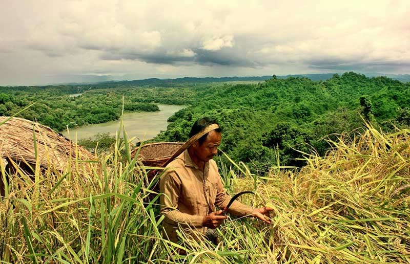 জুম চাষী বাংলাদেশের পেশাজীবী