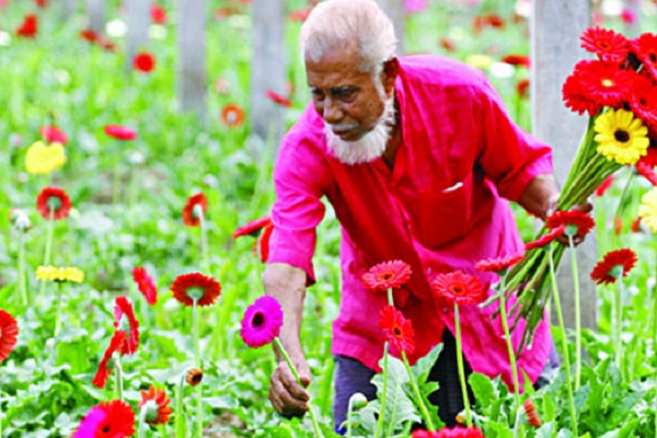 মালিনী বাংলাদেশের পেশাজীবী
