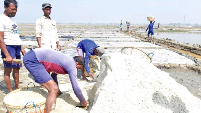মুল্লঙ্গী বাংলাদেশের পেশাজীবী