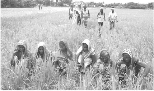 আত্মকর্মসংস্থানমূলক কার্যক্রমের কয়েকটি ক্ষেত্র